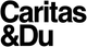 Hiring Organization