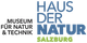 Hiring Organization