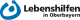 Hiring Organization