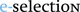 Hiring Organization