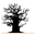 http://www.hilfe-fuer-senegal.de/index.php?start=200