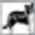 http://www.tierheim-dallau.de/unsere-tiere/hunde/kimi/
