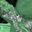 https://crocodylus.blog/2026/06/30/lieblingspost-im-juni-26/