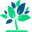 https://dr-garten.de/bougainvillea-im-kuebel-ueberwintern/