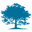 https://ggz.graz.at/2026/anmeldung-zum-anp-dialog/