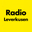 https://www.radioleverkusen.de/dpa/naechste-wm-runde-fix-tischtennis-team-schlaegt-slowenien-2642482