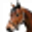 http://rfvvgillbach.de/unser-angebot-1-0/mama-und-kind-reiten/