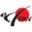 https://www.berliner-karate-verband.de/details-registrierung/bkv-verbandstag-2026