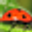 https://umwelt-panorama.de/news.php?newsid=6697025