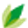 https://www.biomat-shop.com/de/catalogsearch/result/index/?cat=61&q=redecker