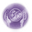 https://www.blauer-planet.de/p_d,,,Rooibos-Herzenswaerme.html&open=&list=&area=&ArtID=7852&search=&outlook=&opengroup=&ANID=&RID=