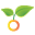 https://www.botanichka.ru/feed/