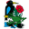 https://www.bsmw.de/bidi-trifft-mehrartenraum-botanische-exkursion-am-24-juni-2026/