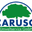 https://www.carusoumwelt.de/2026/06/02/tankstellenrueckbau-wohngebiet-hamburg/