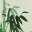 https://www.china-wohnkultur.ch/de/katalog/jian-hars-fur-tea-bowl-song-dy-detail.html