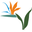 https://www.exotic-plants.de/Samen/Orchideen/Eulophia-spectabilis.php