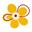 https://www.gartenfreunde.de/gartenpraxis/gartengenuss/gemuese-erfolgreich-anbauen/