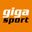 https://www.gigasport.de/blog/das-richtige-bike/