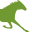 https://www.mein-trabrennsport.de/marktplatz/ginkgo-rocq/