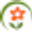 https://www.mundohuerto.com/cultivos/como-plantar-pina-pino