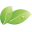 https://www.naturepower.de/produkt-kategorie/kraeuter-komplexe/