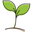https://www.ruralsprout.com/growing-basil-wrong/