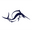 https://www.sailfish.com/pages/sailfish-x-challenge-roth-kollektion