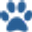 https://www.tierheim-forchheim.de/artikel.htm?articleId=1221