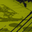 https://zitherbund.de/events/alles-zithert-akademie-arrangement-fuer-fortgeschrittene-1-895-631-159/
